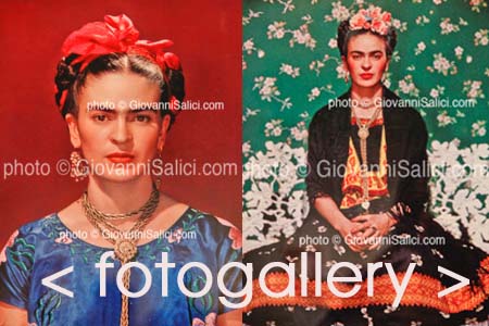 Frida Kahlo, Oltre il mito.