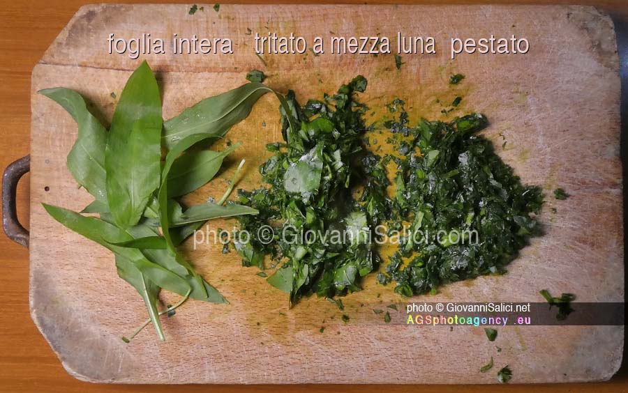 Cucina Selvatica: Allium ursinum, preparazione pesto con aglio selvatico di bosco