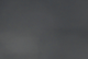 Cygnus olor con sfondo Fulica atra photo © Giovanni Salici